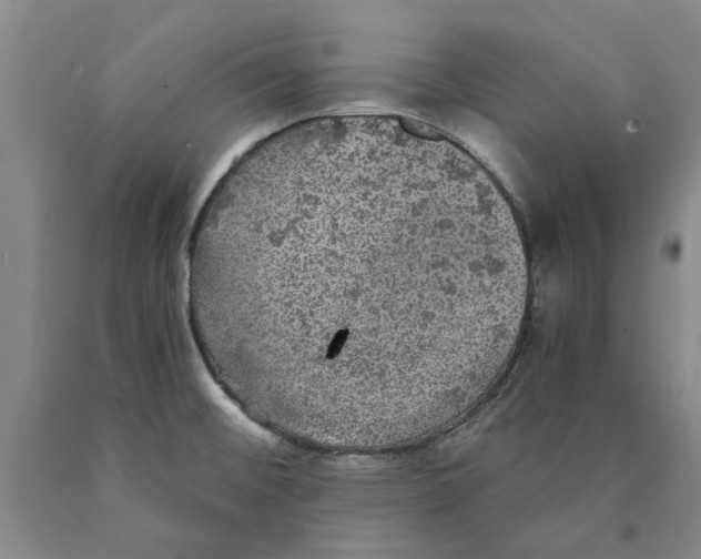 X0000089921476200707271725