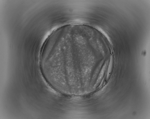 X0000089921477200707271725