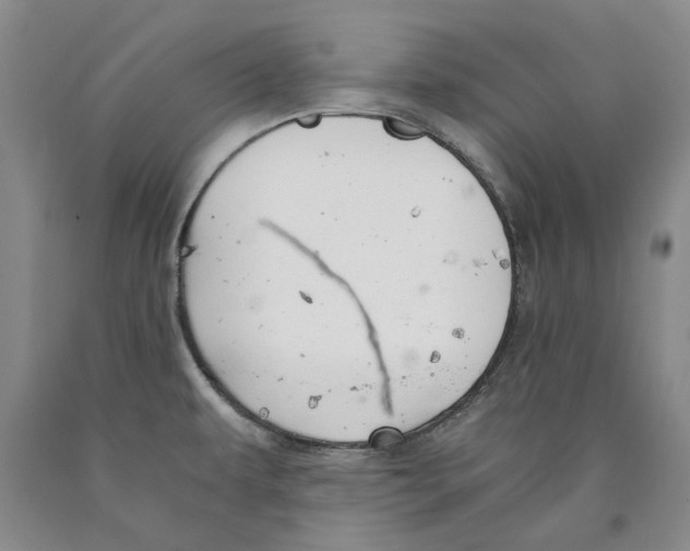 X0000089921479200707271725