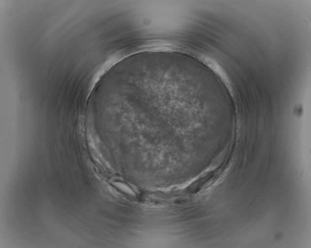 X0000089921481200707271725