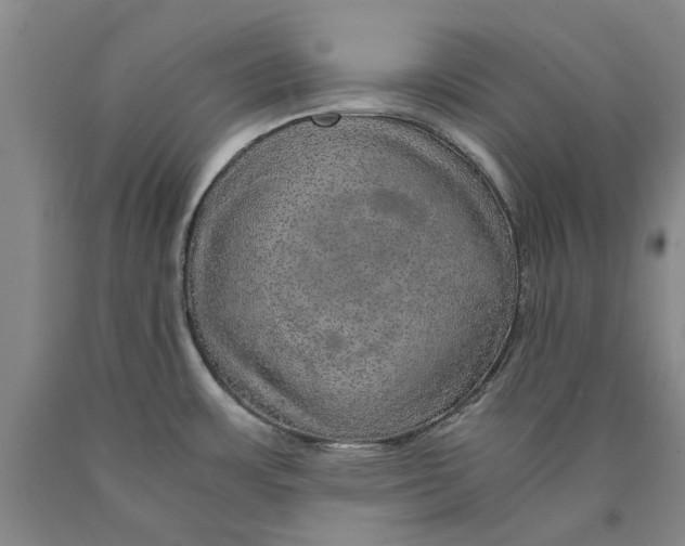 X0000089921483200707271725