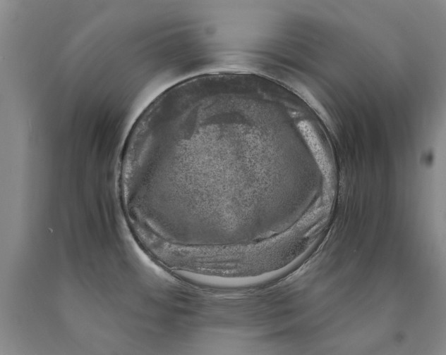 X0000089921484200707271725