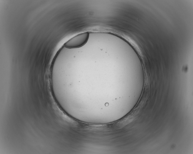 X0000089921486200707271725