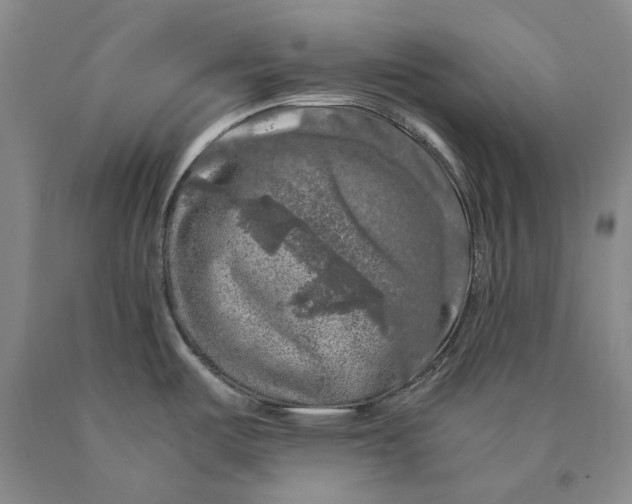 X0000089921487200707271725