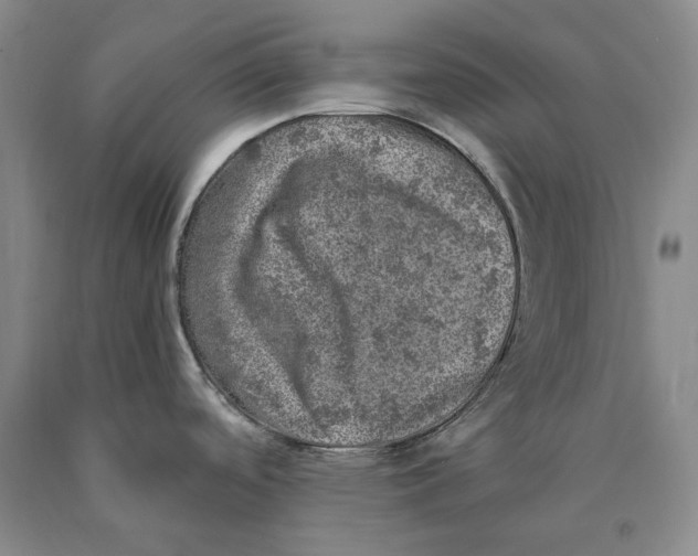 X0000089921488200707271725