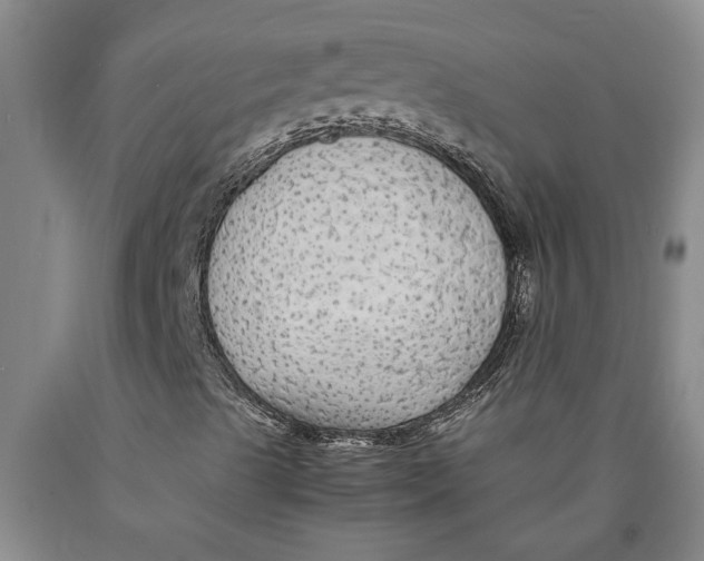 X0000089921489200707271724