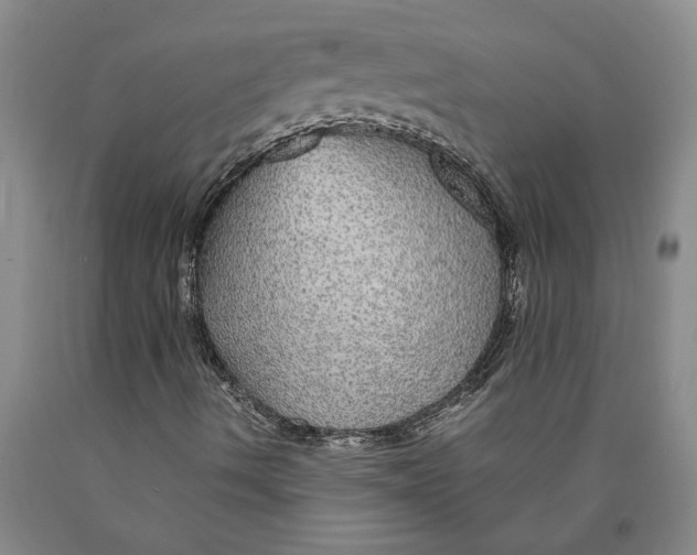 X0000089921490200707271724