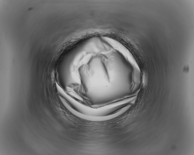 X0000089921492200707271724