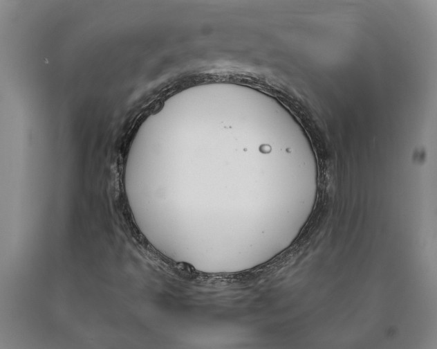 X0000089921493200707271724