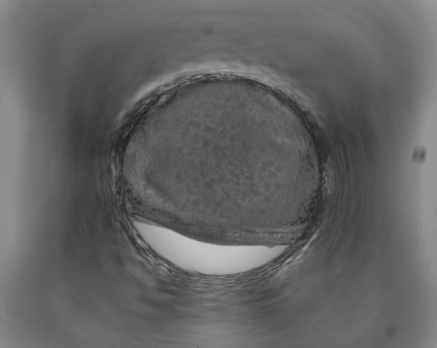 X0000089921494200707271724