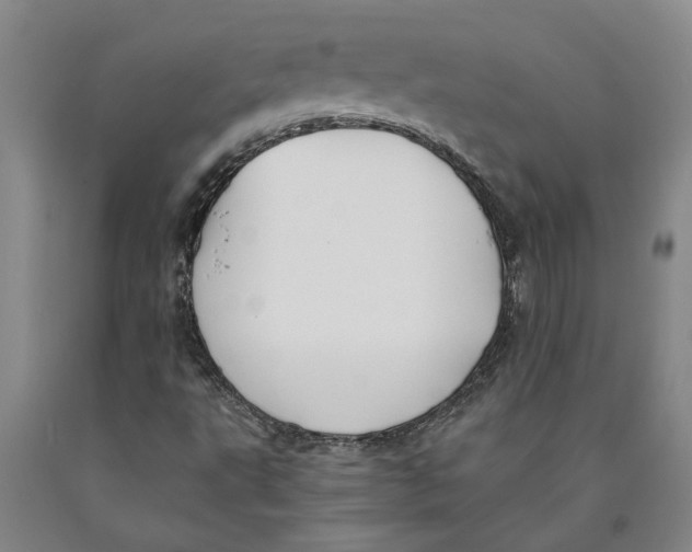 X0000089921495200707271724