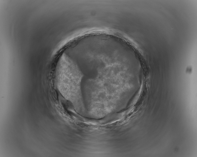 X0000089921496200707271724