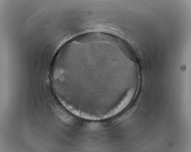 X0000089921497200707271724