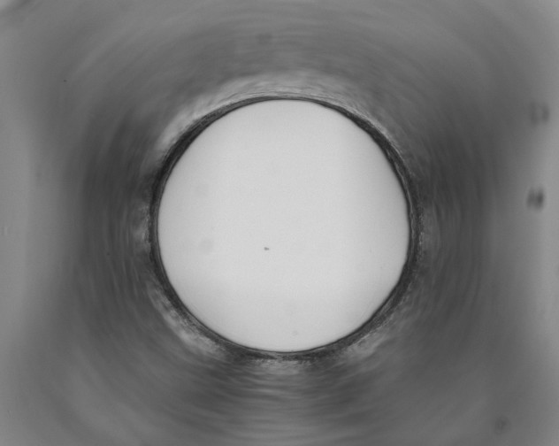 X0000089921499200707271724