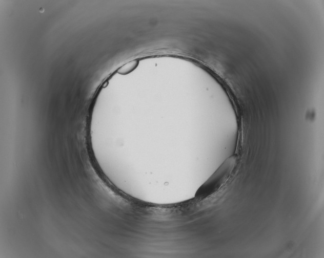 X0000089921500200707271724