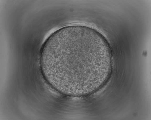 X0000089921501200707271724