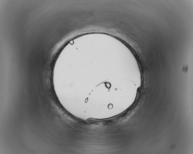 X0000089921502200707271724