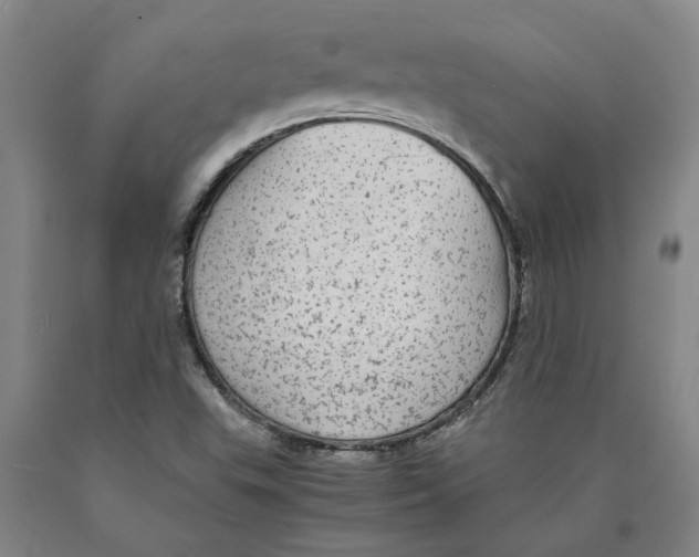 X0000089921503200707271724