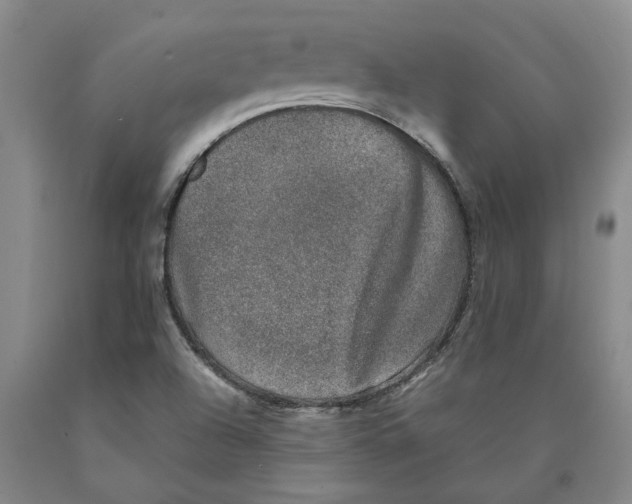 X0000089921504200707271725