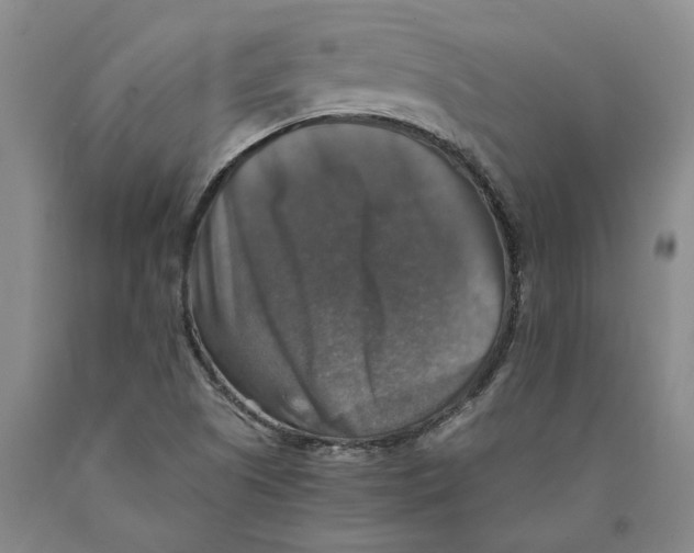 X0000089921505200707271725