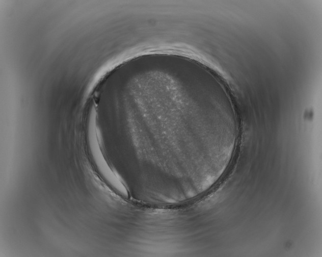 X0000089921506200707271725