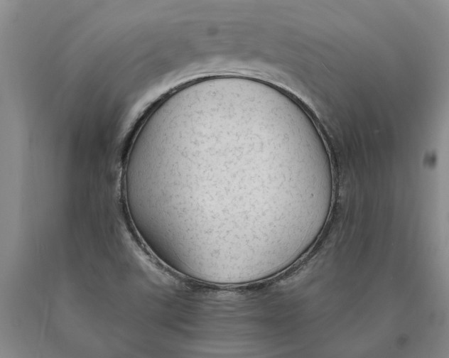 X0000089921507200707271725