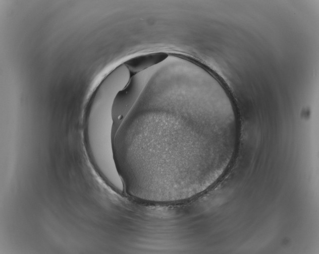 X0000089921508200707271725