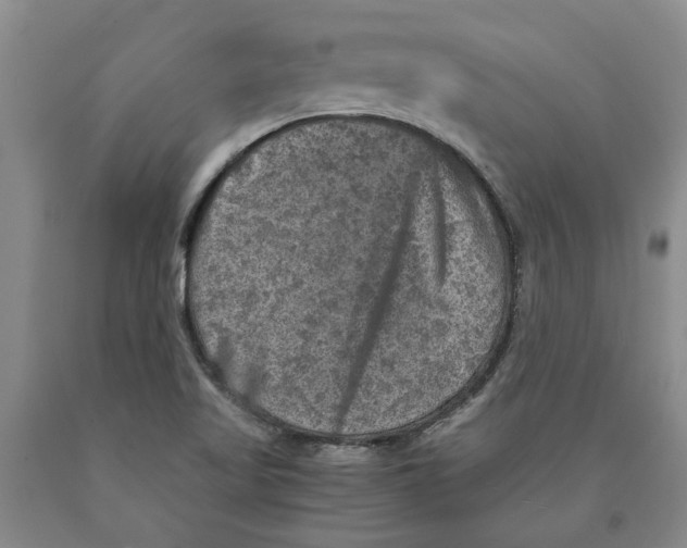 X0000089921509200707271725