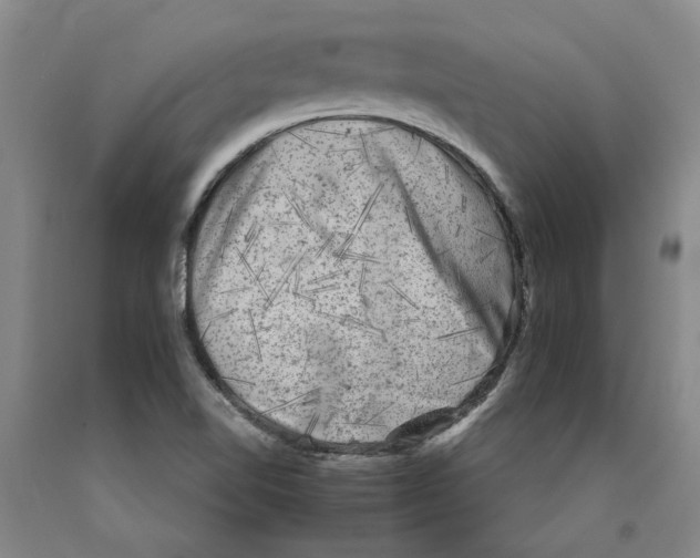 X0000089921510200707271725