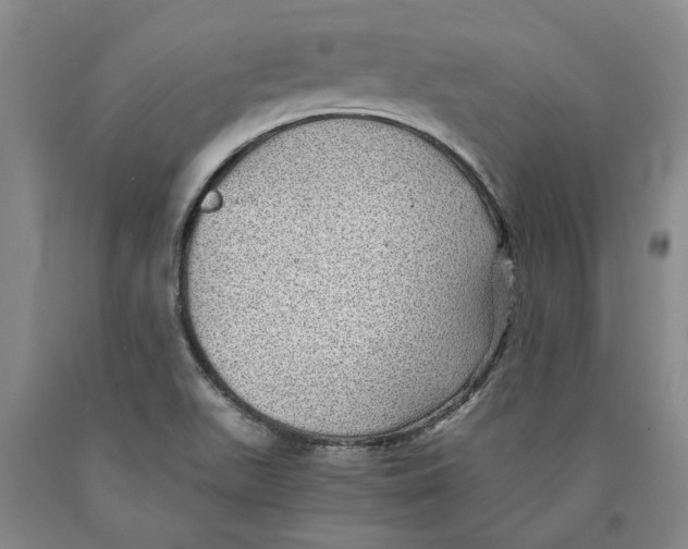 X0000089921511200707271725