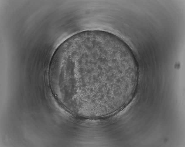 X0000089921513200707271725