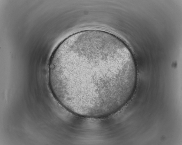 X0000089921514200707271725