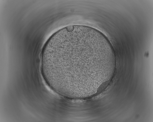 X0000089921515200707271725