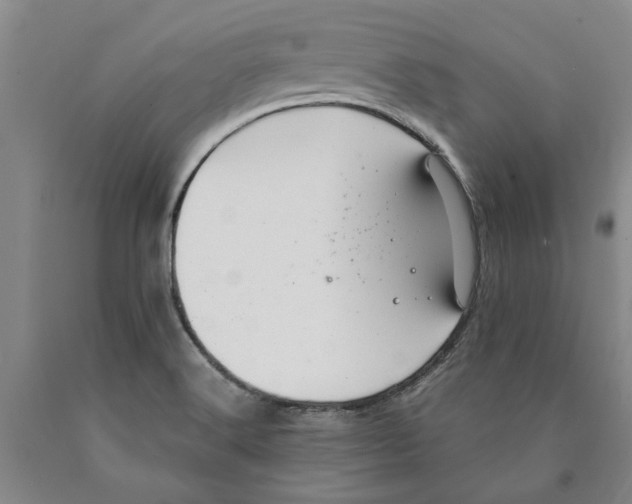 X0000089921516200707271725