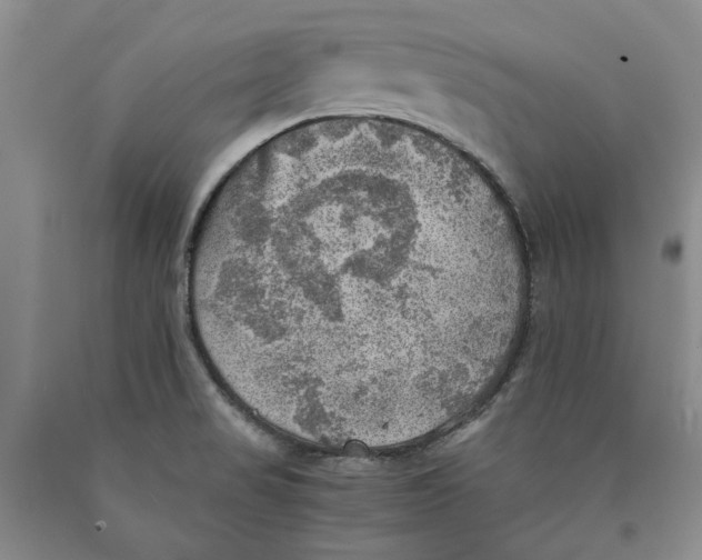 X0000089921517200707271725