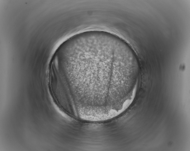 X0000089921519200707271725