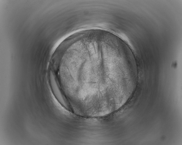 X0000089921524200707271725