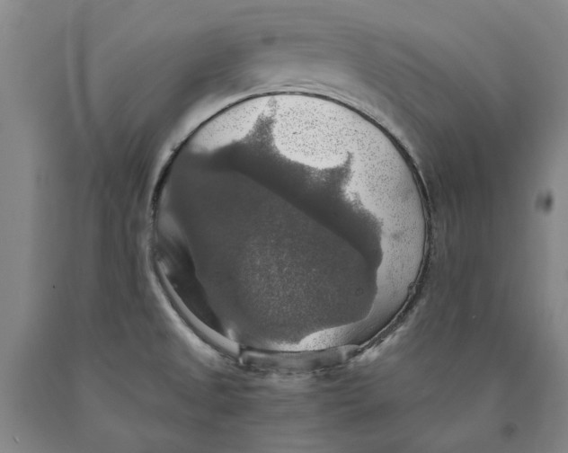 X0000089921525200707271725