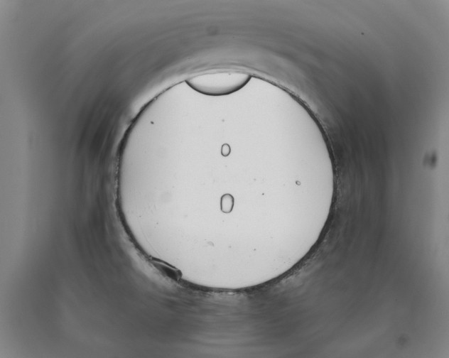 X0000089921526200707271725