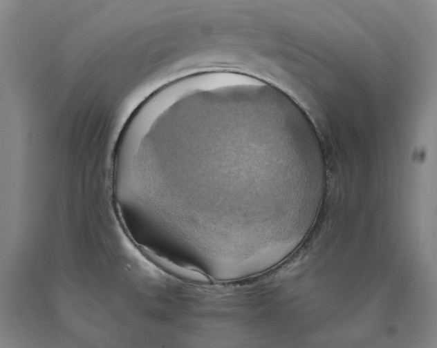 X0000089921527200707271725