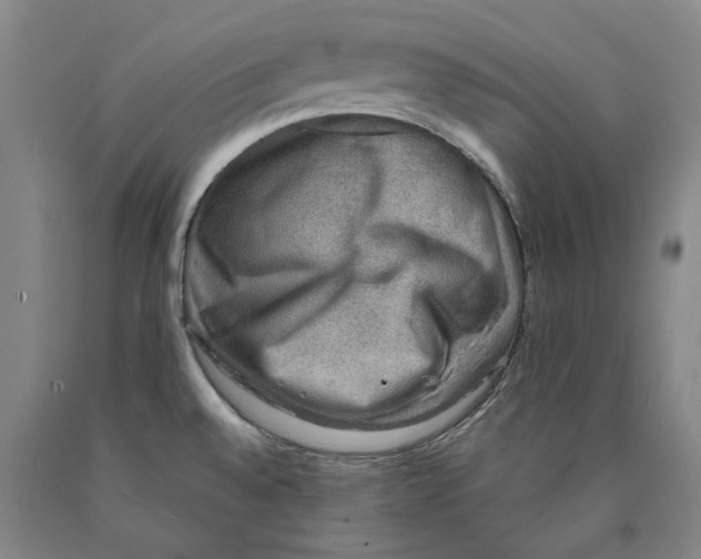 X0000089921528200707271725