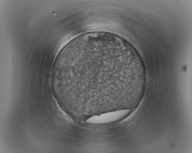 X0000089921529200707271725