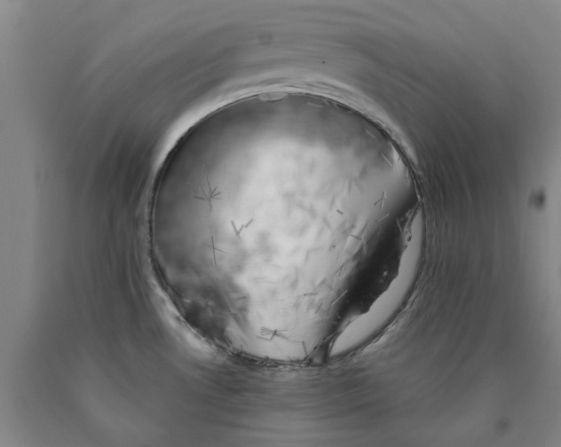 X0000089921530200707271725