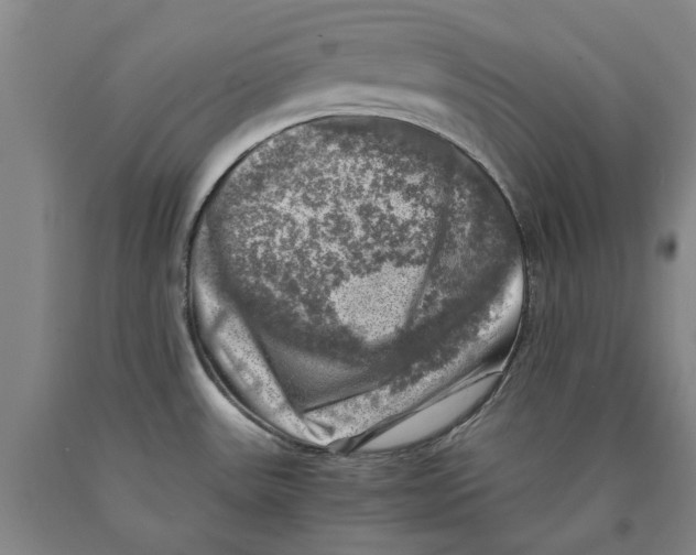 X0000089921531200707271725