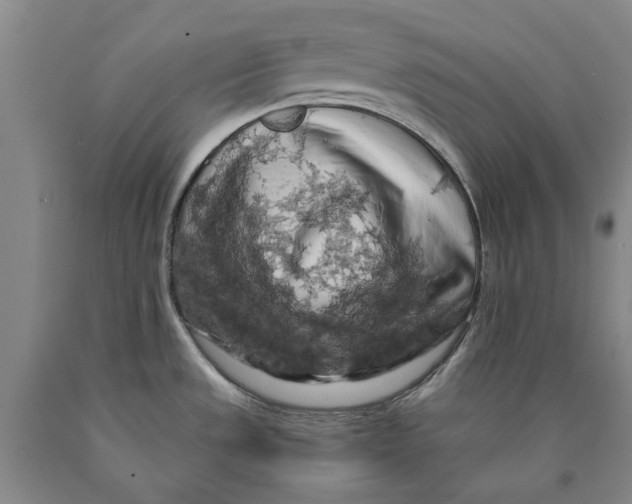 X0000089921533200707271725