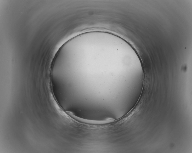 X0000089921534200707271725