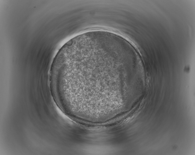 X0000089921535200707271725