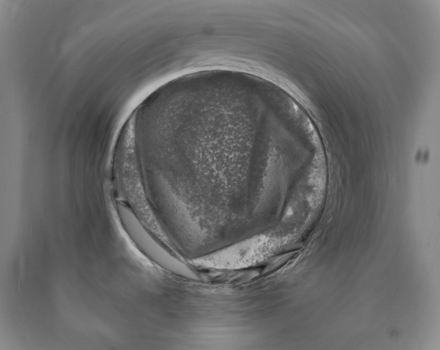 X0000089921536200707271725