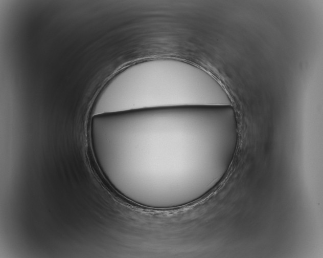 X0000089930002200706290805