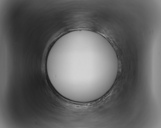 X0000089930004200706290805